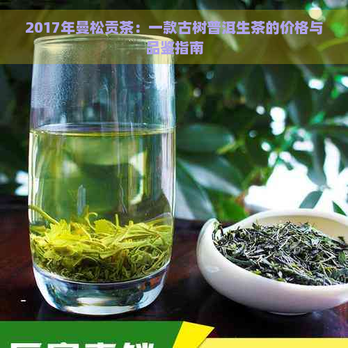 2017年曼松贡茶：一款古树普洱生茶的价格与品鉴指南