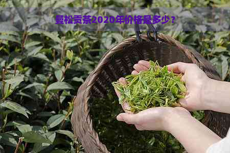 曼松贡茶2020年价格是多少？