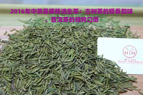 2016年中茶曼糯精选生茶：古树茶的糯香韵味，普洱茶的独特口感