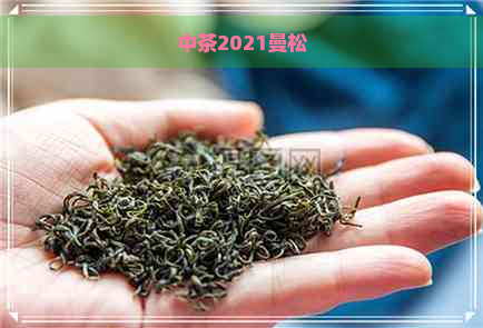 中茶2021曼松