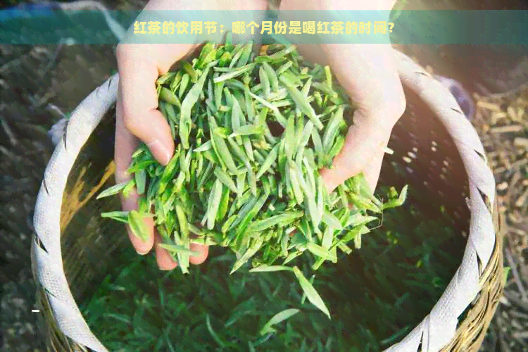 红茶的饮用节：哪个月份是喝红茶的时间？