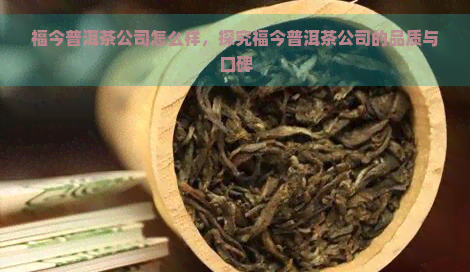 福今普洱茶公司怎么样，探究福今普洱茶公司的品质与口碑