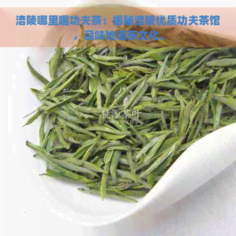 涪陵哪里喝功夫茶：揭秘涪陵优质功夫茶馆，品味地道茶文化。