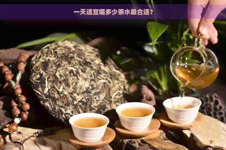 一天适宜喝多少茶水最合适？