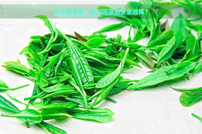 南非国宝茶：孕妇喝茶的安全选择？