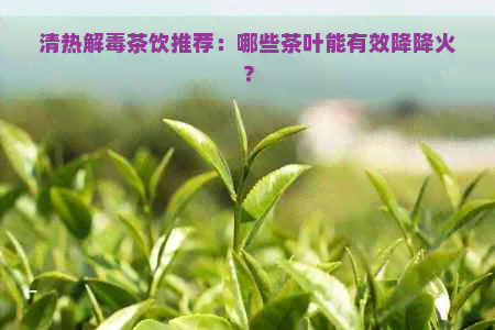 清热解茶饮推荐：哪些茶叶能有效降降火？