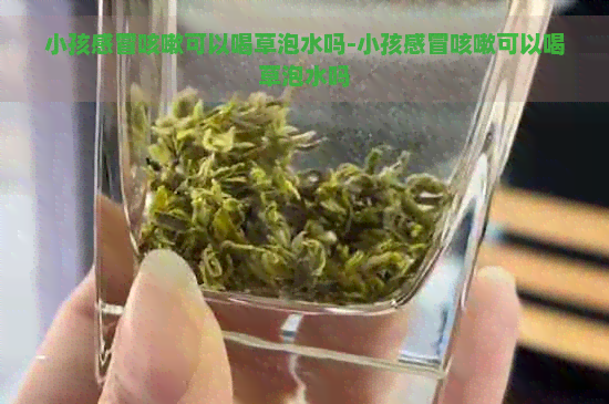 小孩感冒咳嗽可以喝草泡水吗-小孩感冒咳嗽可以喝草泡水吗