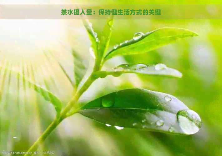 茶水摄入量：保持健生活方式的关键