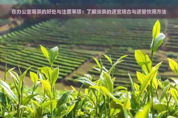 在喝茶的好处与注意事项：了解淡茶的适宜场合与适量饮用方法