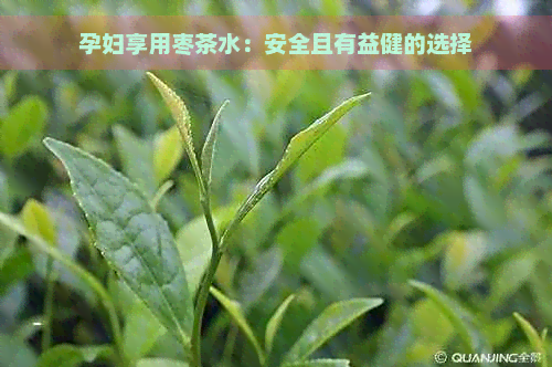 孕妇享用枣茶水：安全且有益健的选择