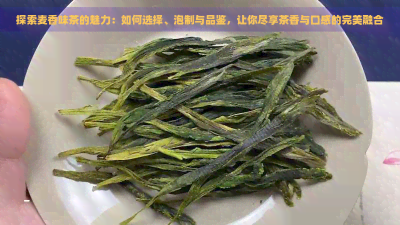 探索麦香味茶的魅力：如何选择、泡制与品鉴，让你尽享茶香与口感的完美融合