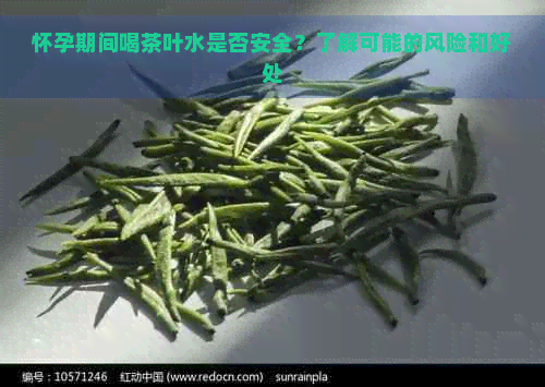 怀孕期间喝茶叶水是否安全？了解可能的风险和好处