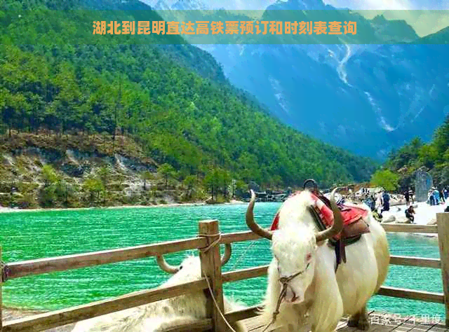 湖北到昆明直达高铁票预订和时刻表查询