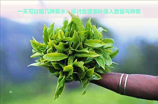 一天可以喝几种茶水：探讨合理茶叶摄入数量与种类