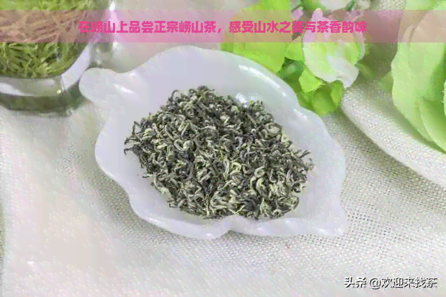 在崂山上品尝正宗崂山茶，感受山水之美与茶香韵味