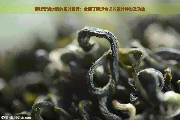 健脾胃泡水喝的茶叶推荐：全面了解适合您的茶叶种类及功效