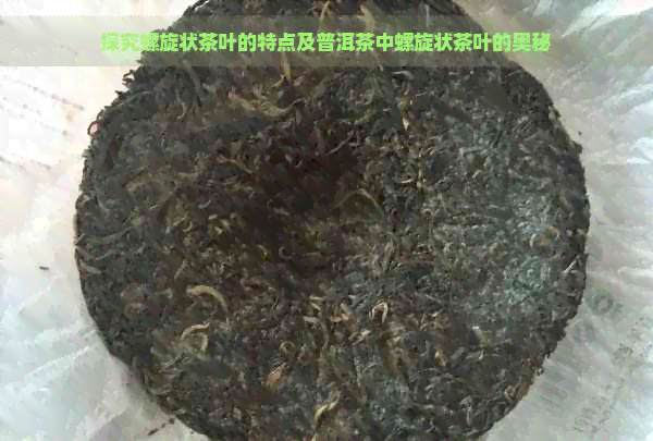 探究螺旋状茶叶的特点及普洱茶中螺旋状茶叶的奥秘