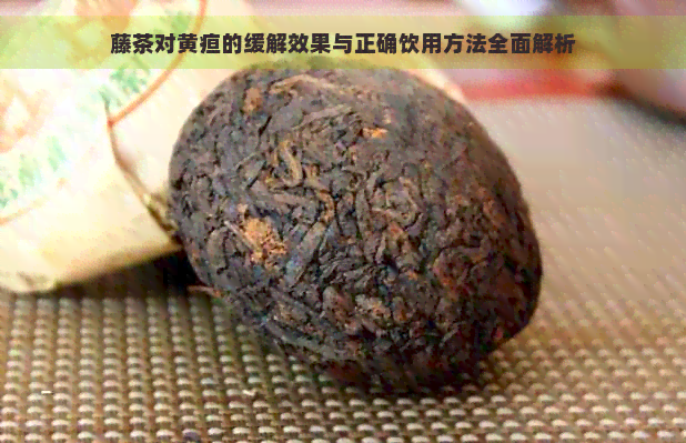 藤茶对黄疸的缓解效果与正确饮用方法全面解析