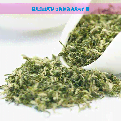 婴儿黄疸可以吃钩藤的功效与作用