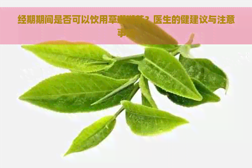 经期期间是否可以饮用草珊瑚茶？医生的健建议与注意事项