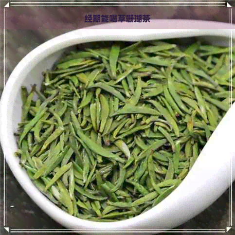 经期能喝草珊瑚茶