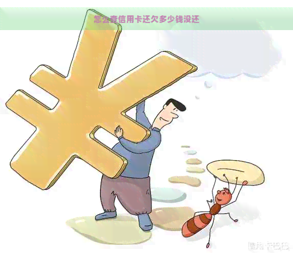 怎么查信用卡还欠多少钱没还