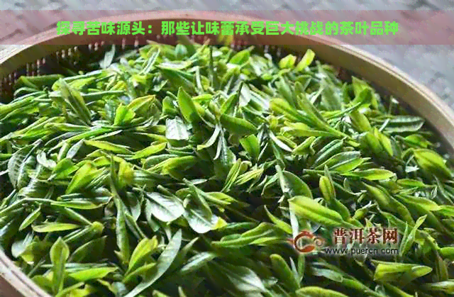 探寻苦味源头：那些让味蕾承受巨大挑战的茶叶品种