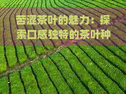 苦涩茶叶的魅力：探索口感独特的茶叶种类与冲泡技巧