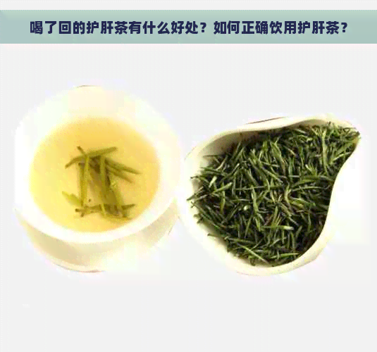 喝了回的护肝茶有什么好处？如何正确饮用护肝茶？