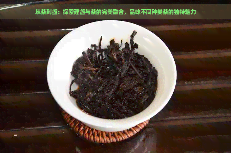 从茶到盏：探索建盏与茶的完美融合，品味不同种类茶的独特魅力