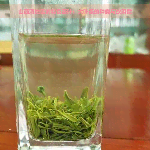 山西洞地区的特色茶叶：大叶茶的种类与饮用惯