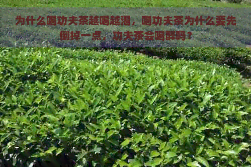 为什么喝功夫茶越喝越渴，喝功夫茶为什么要先倒掉一点，功夫茶会喝醉吗？