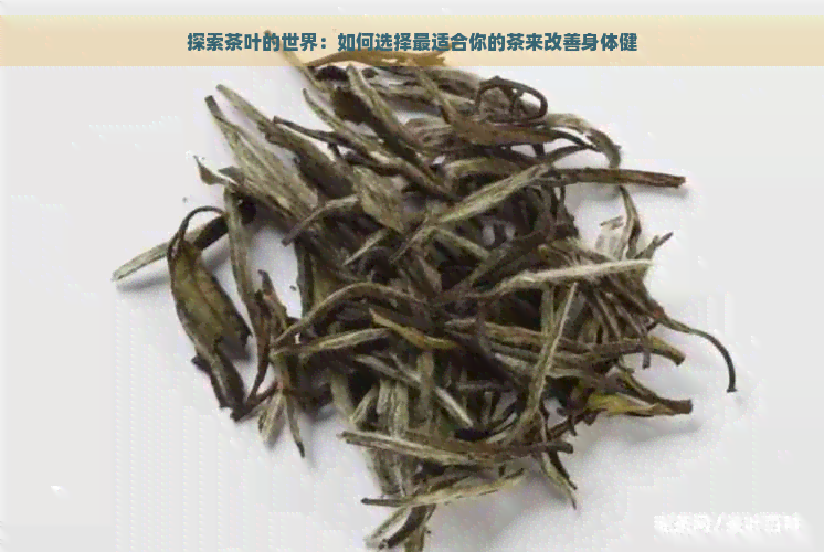 探索茶叶的世界：如何选择最适合你的茶来改善身体健