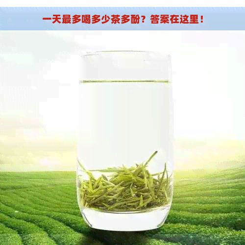 一天最多喝多少茶多酚？答案在这里！