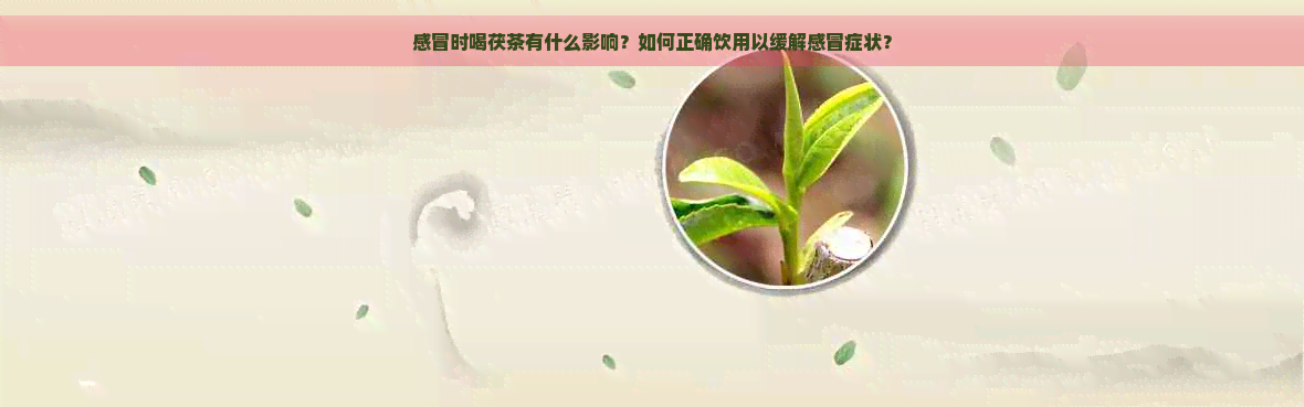 感冒时喝茯茶有什么影响？如何正确饮用以缓解感冒症状？