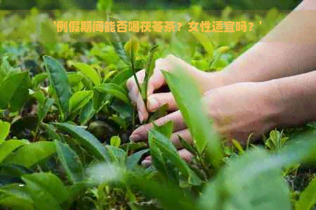 '例假期间能否喝茯苓茶？女性适宜吗？'