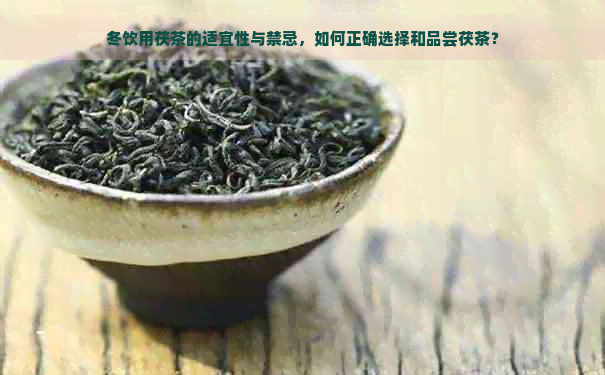 冬饮用茯茶的适宜性与禁忌，如何正确选择和品尝茯茶？