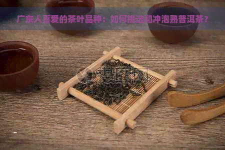 广东人喜爱的茶叶品种：如何挑选和冲泡熟普洱茶？