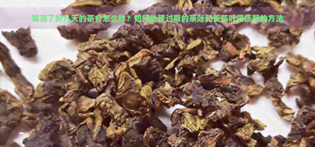 喝泡了好几天的茶会怎么样？如何处理过期的茶叶和长茶叶保质期的方法