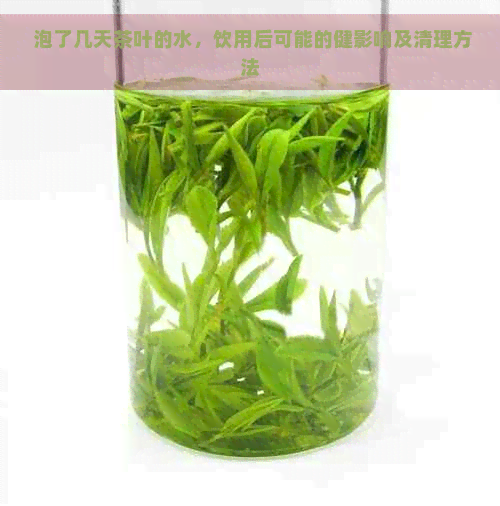  泡了几天茶叶的水，饮用后可能的健影响及清理方法