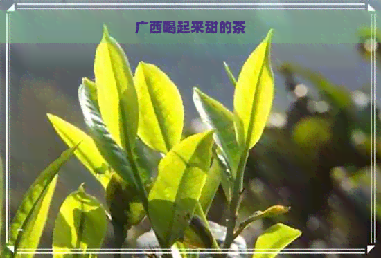 广西喝起来甜的茶