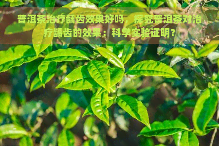 普洱茶治疗龋齿效果好吗，探究普洱茶对治疗龋齿的效果：科学实验证明？