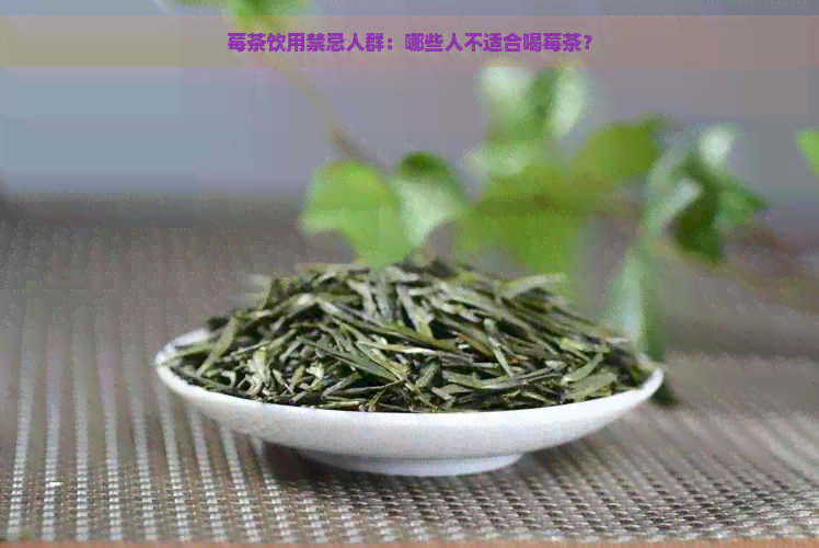 莓茶饮用禁忌人群：哪些人不适合喝莓茶？