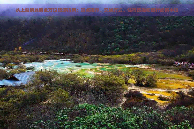 从上海到昆明全方位旅游指南：景点推荐、交通方式、住宿选择和旅行必备事项