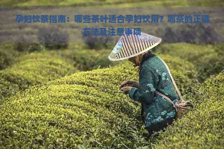 孕妇饮茶指南：哪些茶叶适合孕妇饮用？喝茶的正确方法及注意事项