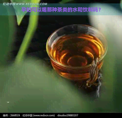 孕妇可以喝那种茶类的水和饮料吗？