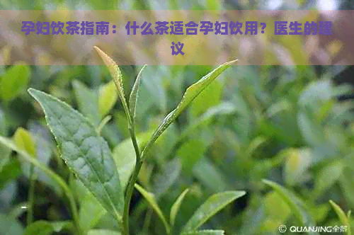 孕妇饮茶指南：什么茶适合孕妇饮用？医生的建议