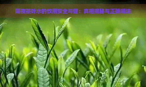 隔夜茶叶水的饮用安全与健：真相揭秘与正确喝法