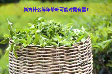 新为什么陈年茶叶可能对健有害？