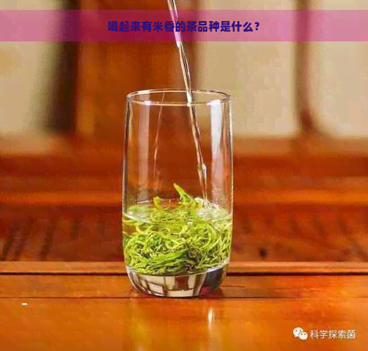 喝起来有米香的茶品种是什么？